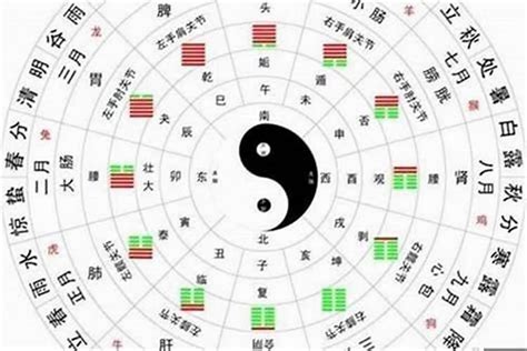 八字 官星|八字格局之正官格的象义、判断与喜忌